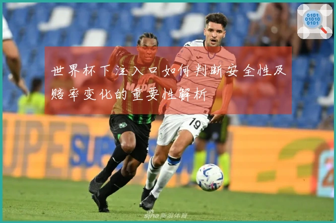 世界杯下注入口如何判断安全性及赔率变化的重要性解析