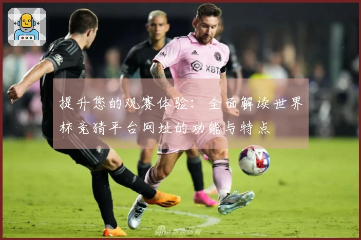 提升您的观赛体验：全面解读世界杯竞猜平台网址的功能与特点