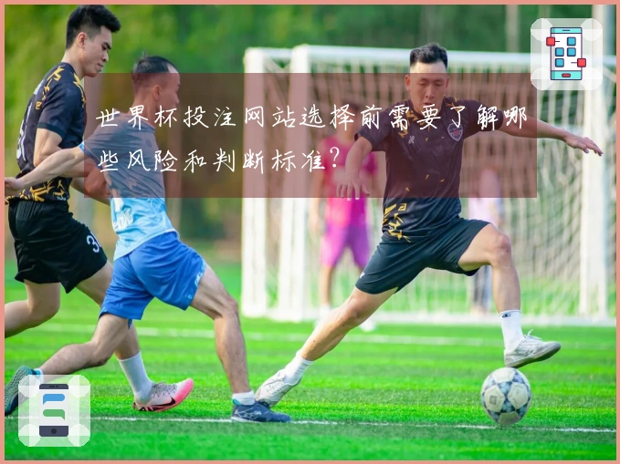 世界杯投注网站选择前需要了解哪些风险和判断标准？