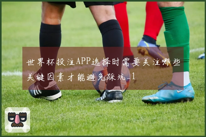 世界杯投注APP选择时需要关注哪些关键因素才能避免踩坑_1