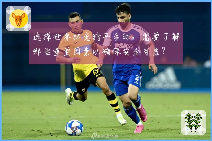 选择世界杯竞猜平台时，需要了解哪些重要因素以确保安全可靠？