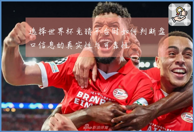 选择世界杯竞猜平台时如何判断盘口信息的真实性与可靠性