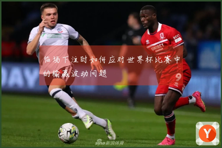 临场下注时如何应对世界杯比赛中的输赢波动问题