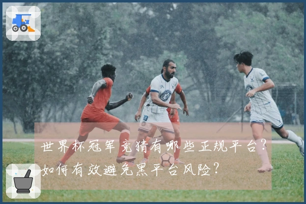 世界杯冠军竞猜有哪些正规平台？如何有效避免黑平台风险？