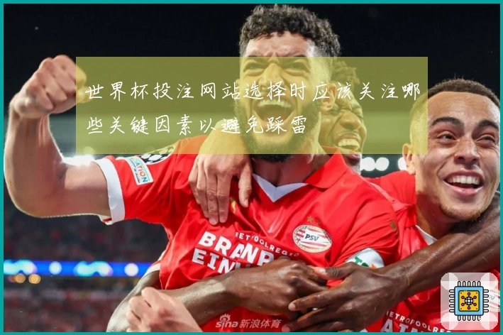 世界杯投注网站选择时应该关注哪些关键因素以避免踩雷