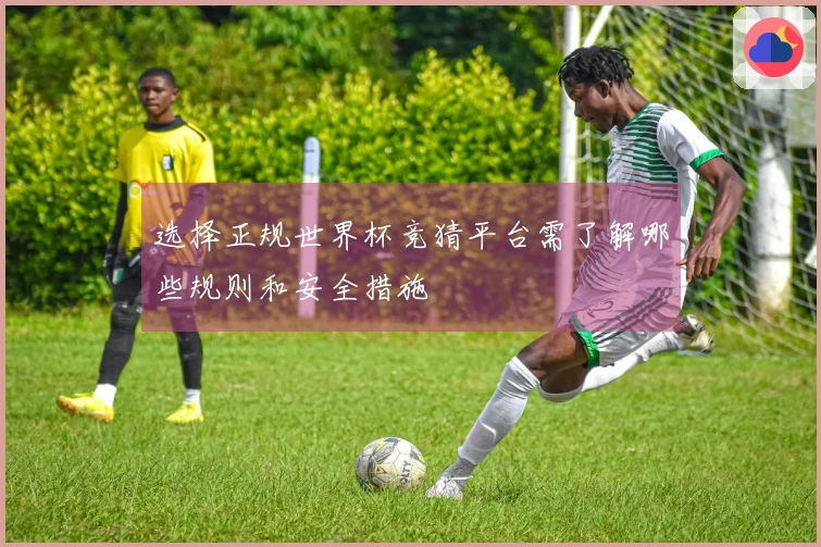 选择正规世界杯竞猜平台需了解哪些规则和安全措施