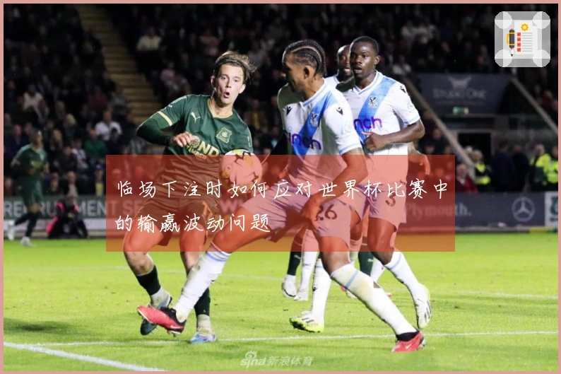 临场下注时如何应对世界杯比赛中的输赢波动问题
