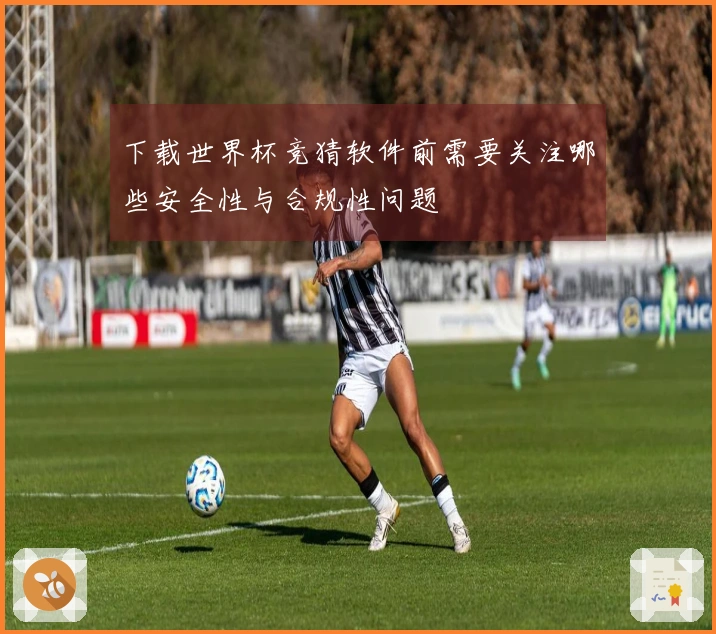 下载世界杯竞猜软件前需要关注哪些安全性与合规性问题