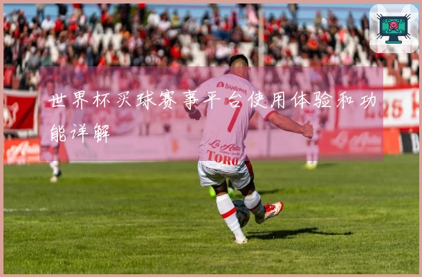 世界杯买球赛事平台使用体验和功能详解