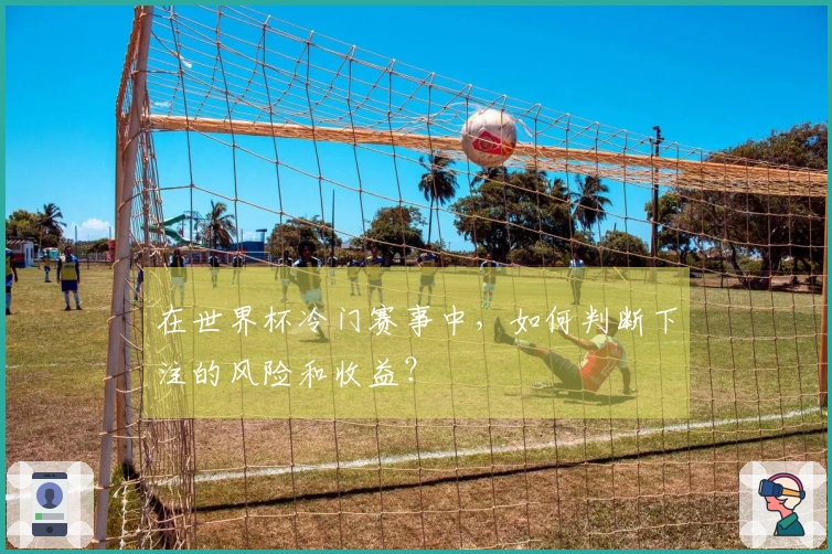 在世界杯冷门赛事中，如何判断下注的风险和收益？