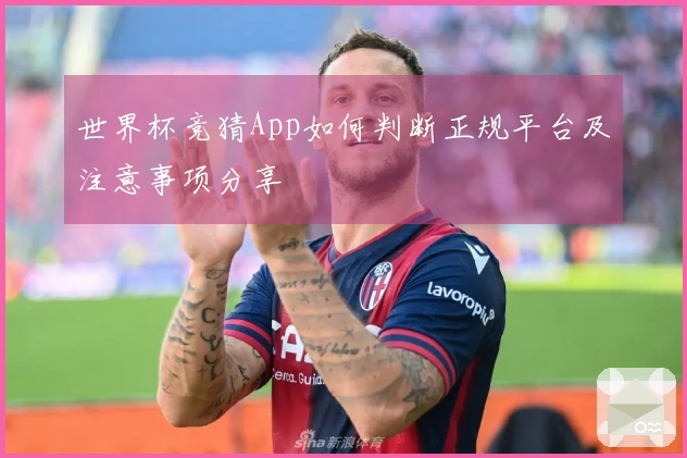 世界杯竞猜App如何判断正规平台及注意事项分享