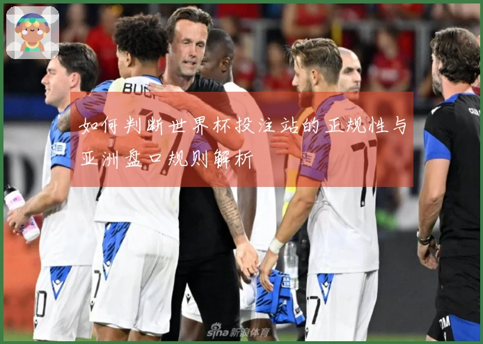 如何判断世界杯投注站的正规性与亚洲盘口规则解析