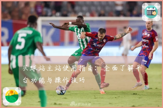 买球站主站使用指南：全面了解平台功能与操作技巧