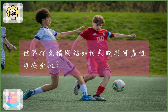 世界杯竞猜网站如何判断其可靠性与安全性？