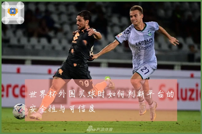 世界杯外围买球时如何判断平台的安全性与可信度