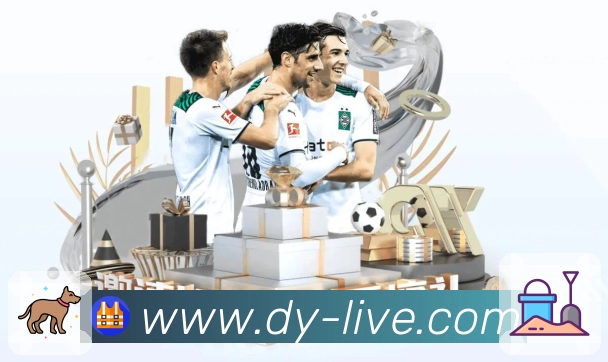 赛事解说与看点提示